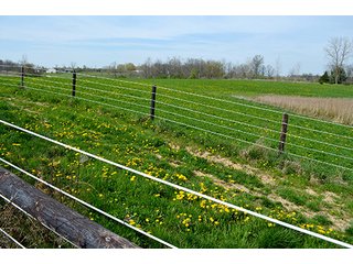 Property photo 107 - REAL ESTATE & PERSONAL PROPERTY AUCTION - 23.5+/- ACRES OFFERED IN 3 TRACTS OR COMBINATIONS IN EAST ALLEN COUNTY